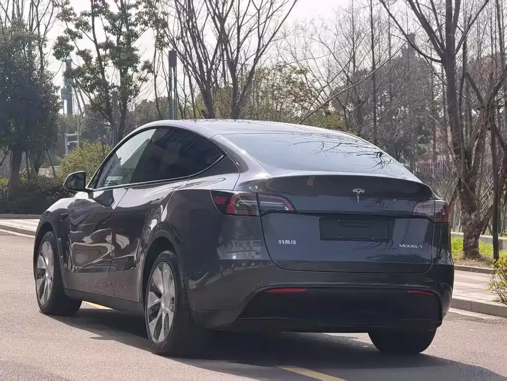 Tesla Model Y — фото 6