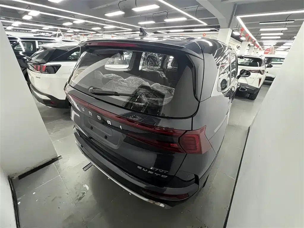 Hyundai Custo — фото 4