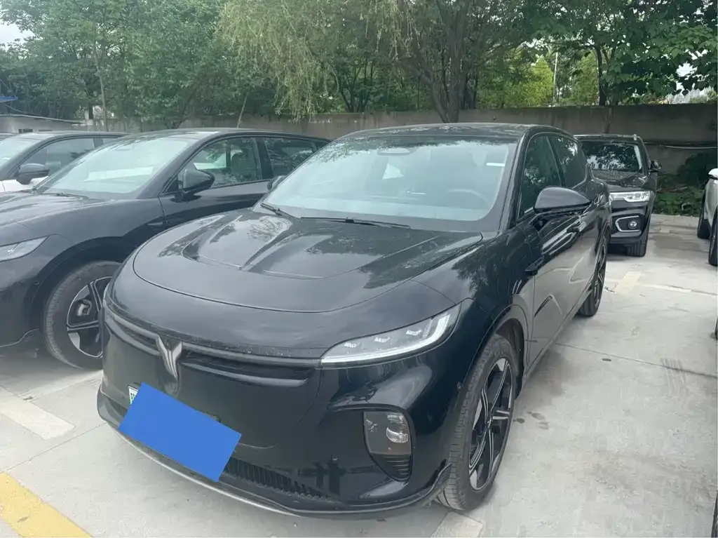 VOYAH Zhiyin