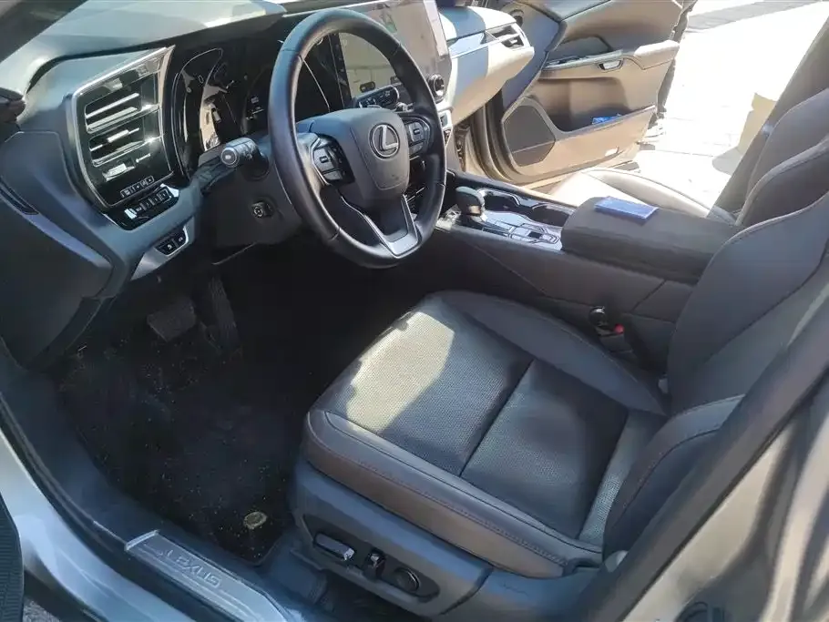 Lexus RX — фото 10