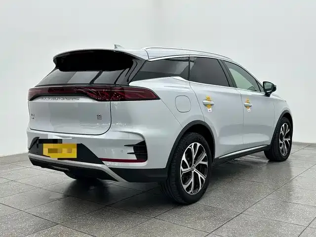 BYD Tang New Energy — фото 5