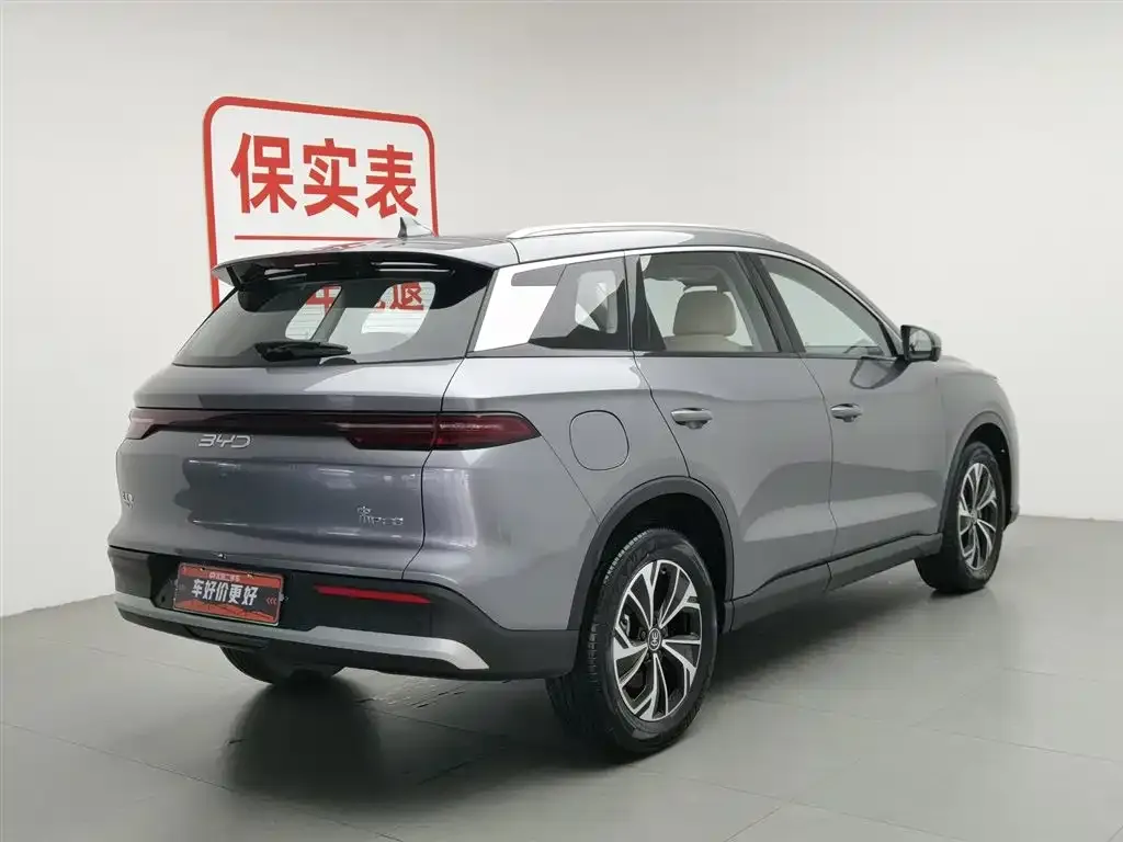 BYD Pro New Energy — фото 4
