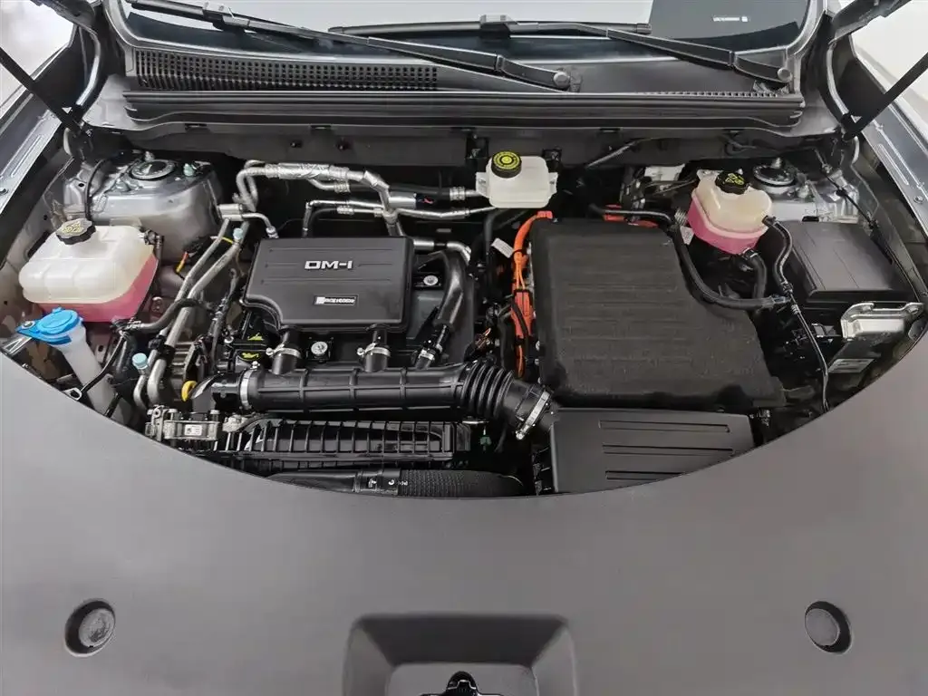BYD Pro New Energy — фото 9