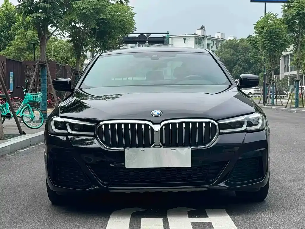 BMW 5 Series New Energy — фото 7