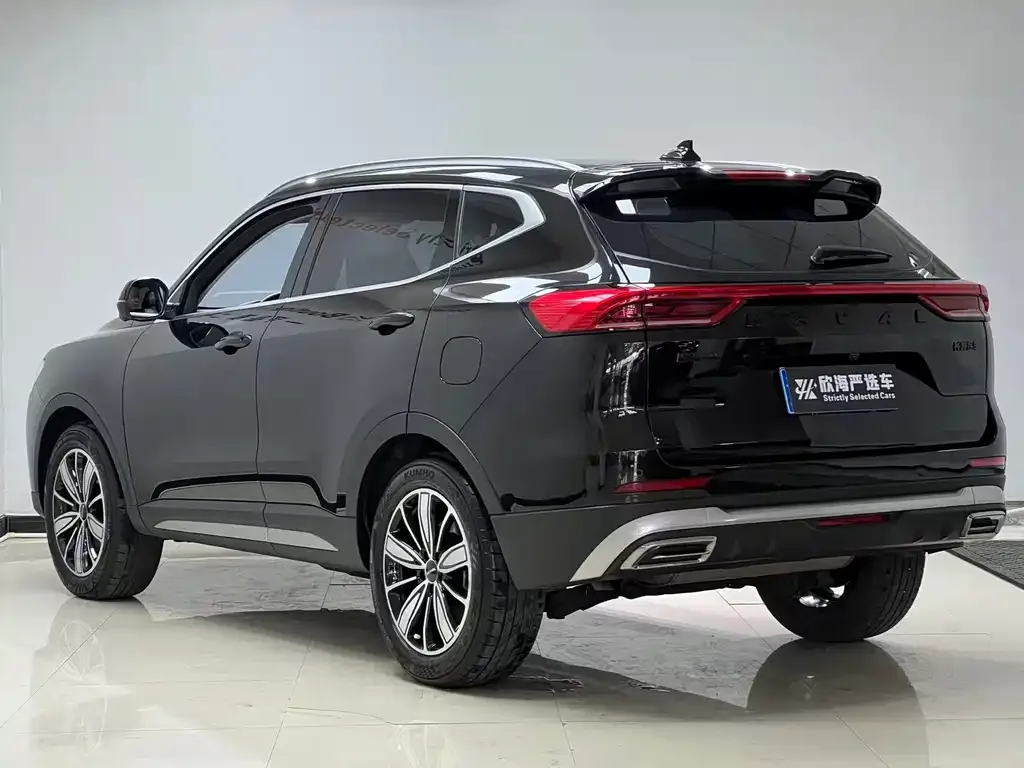 Haval H6 — фото 3