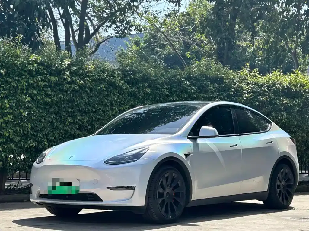 Tesla Model Y — фото 1