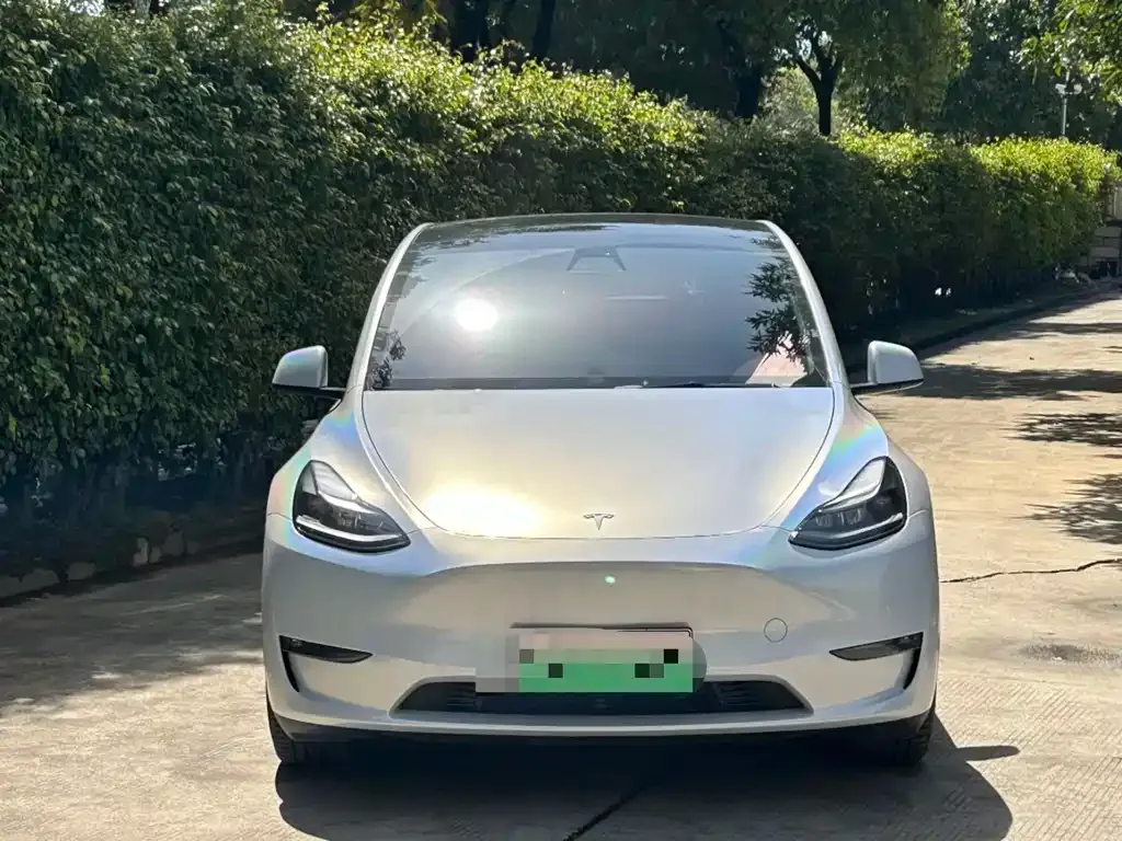 Tesla Model Y — фото 8
