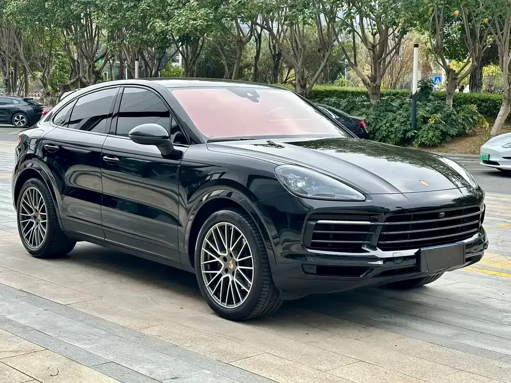 Porsche Cayenne — фото 10