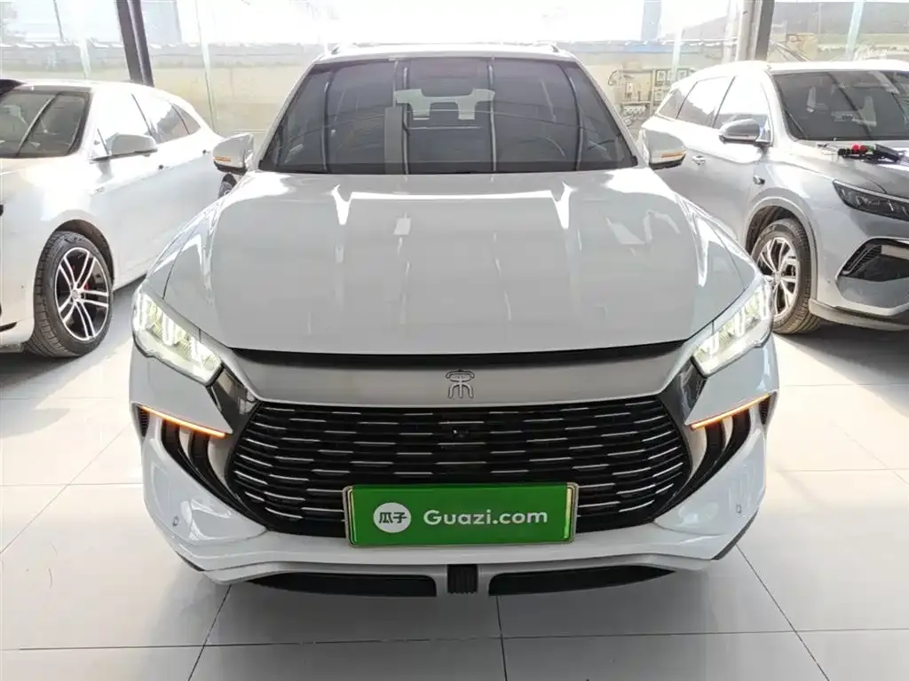 BYD Pro New Energy — фото 2