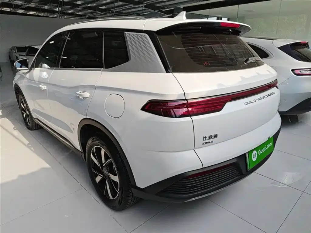 BYD Pro New Energy — фото 5