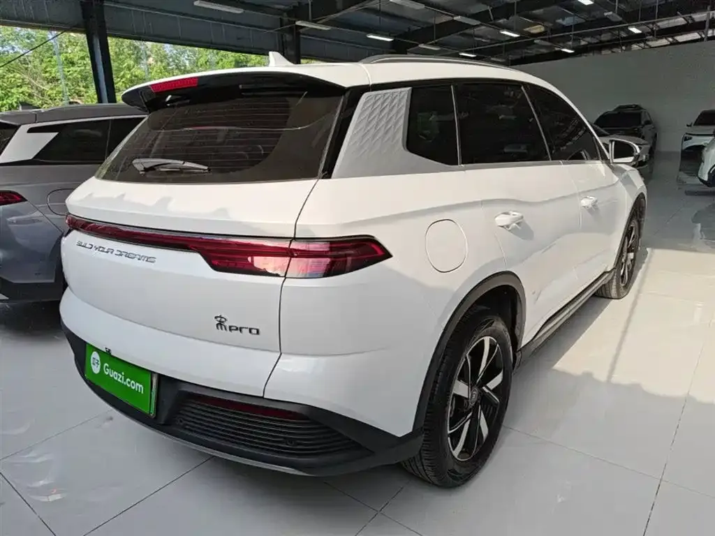 BYD Pro New Energy — фото 9