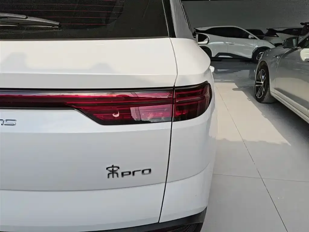 BYD Pro New Energy — фото 4