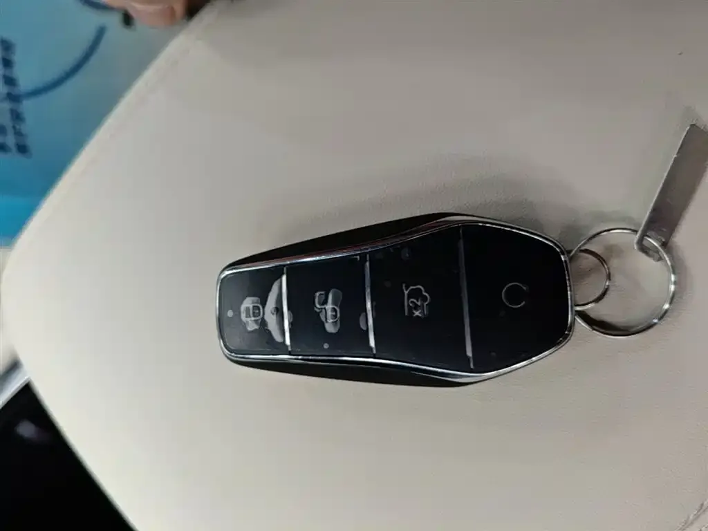 BYD L EV 2024 из CN, фото 6