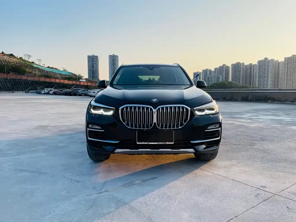 BMW X5 (Import) — фото 5