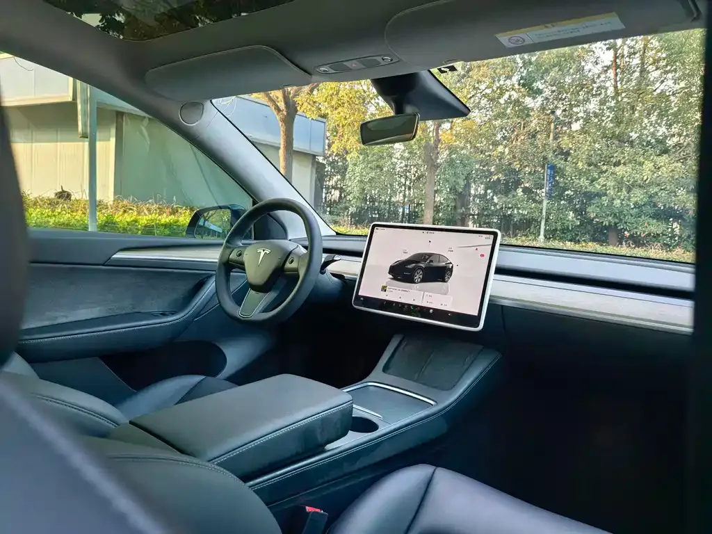 Tesla Model Y — фото 2