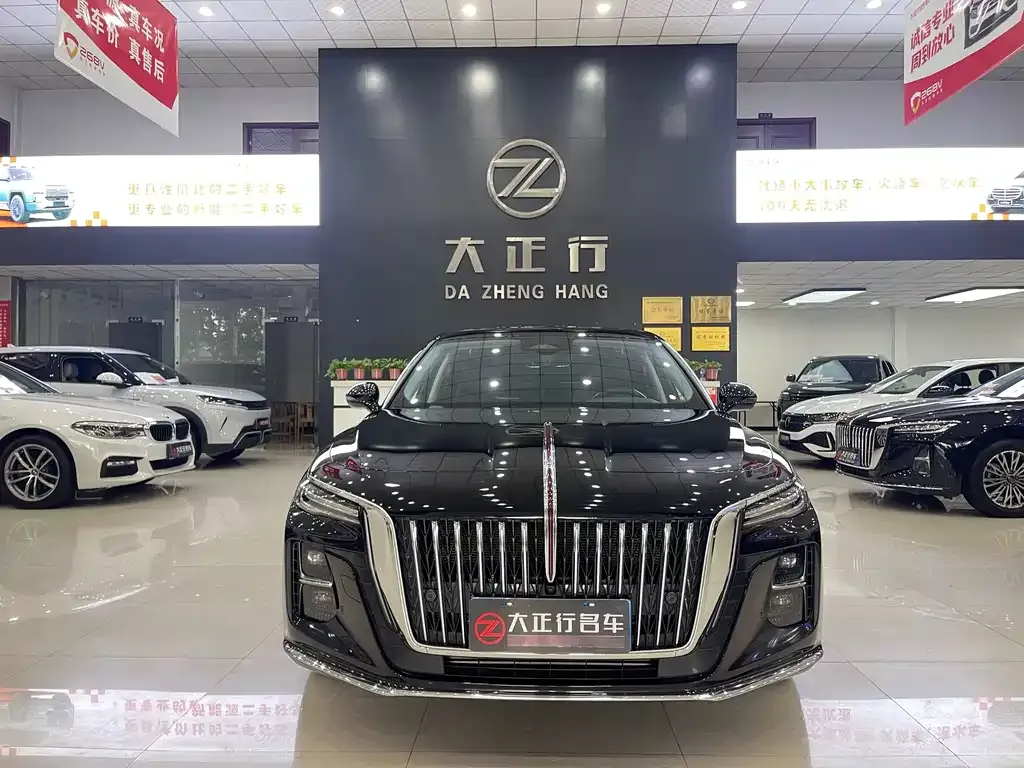 Hongqi H5 2024 из CN, фото 8
