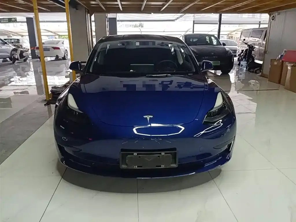 Tesla Model 3 2021 из CN, фото 2