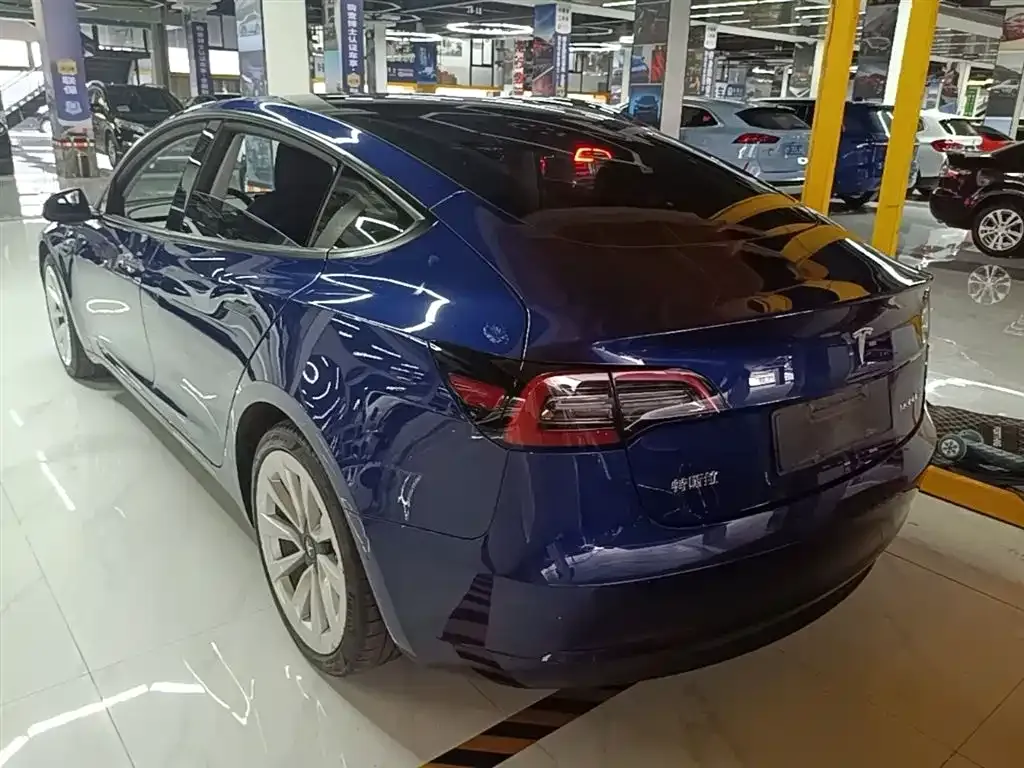 Tesla Model 3 2021 из CN, фото 9