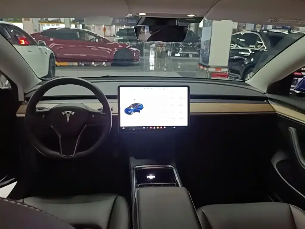 Tesla Model 3 2021 из CN, фото 5