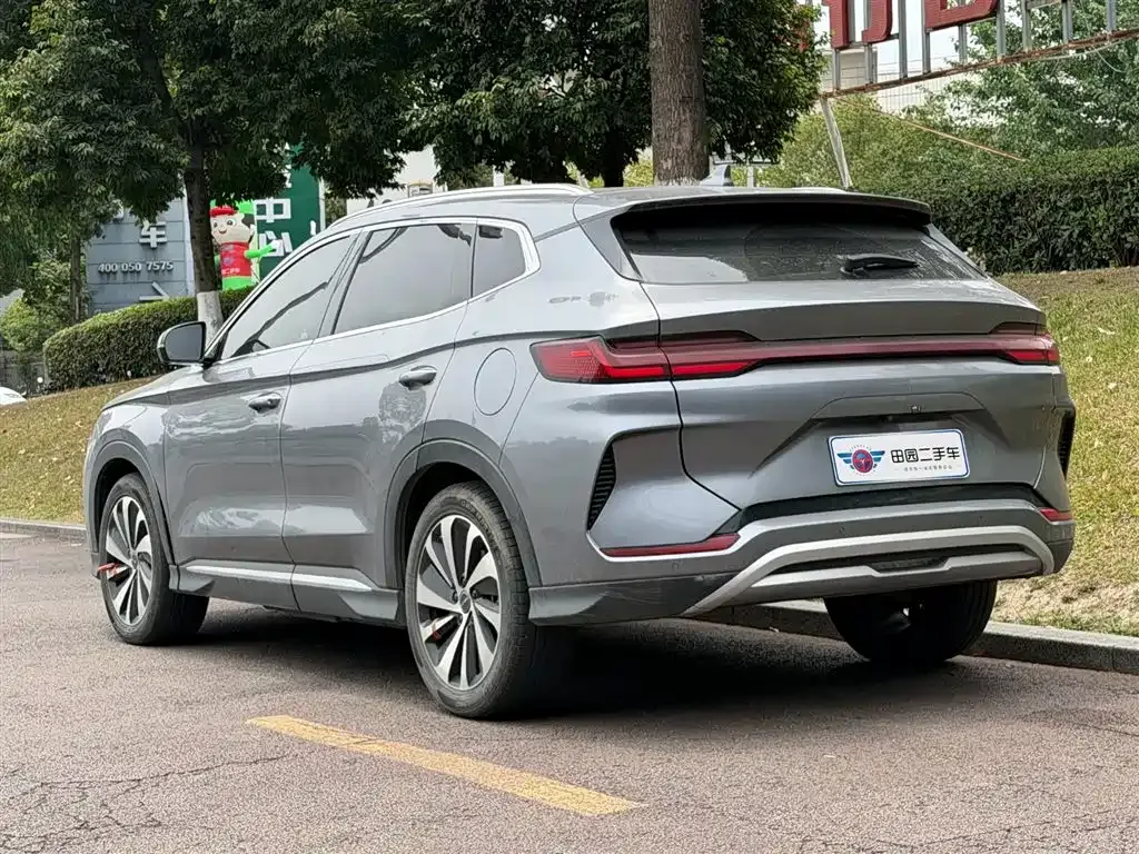 BYD PLUS New Energy 2024 из CN, фото 9