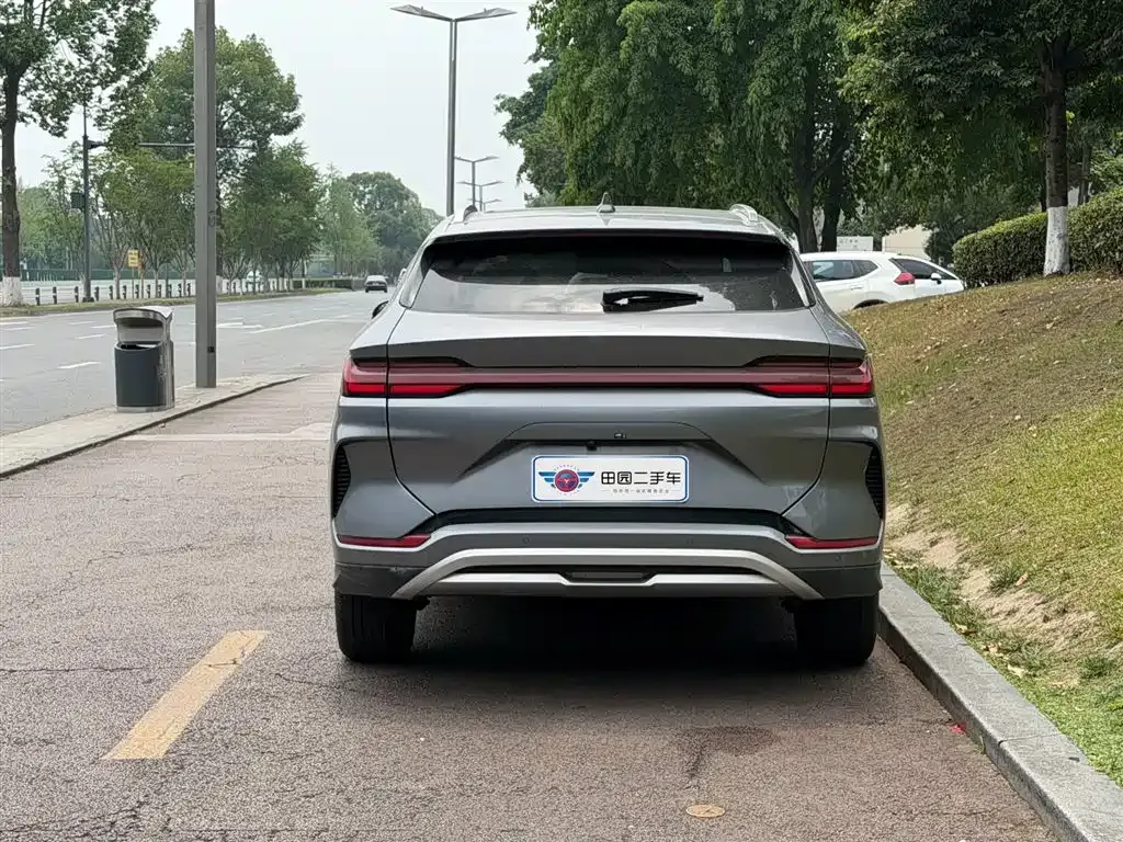 BYD PLUS New Energy 2024 из CN, фото 10