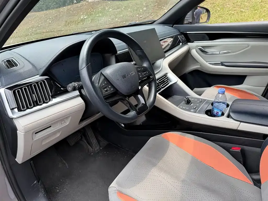BYD PLUS New Energy 2024 из CN, фото 4