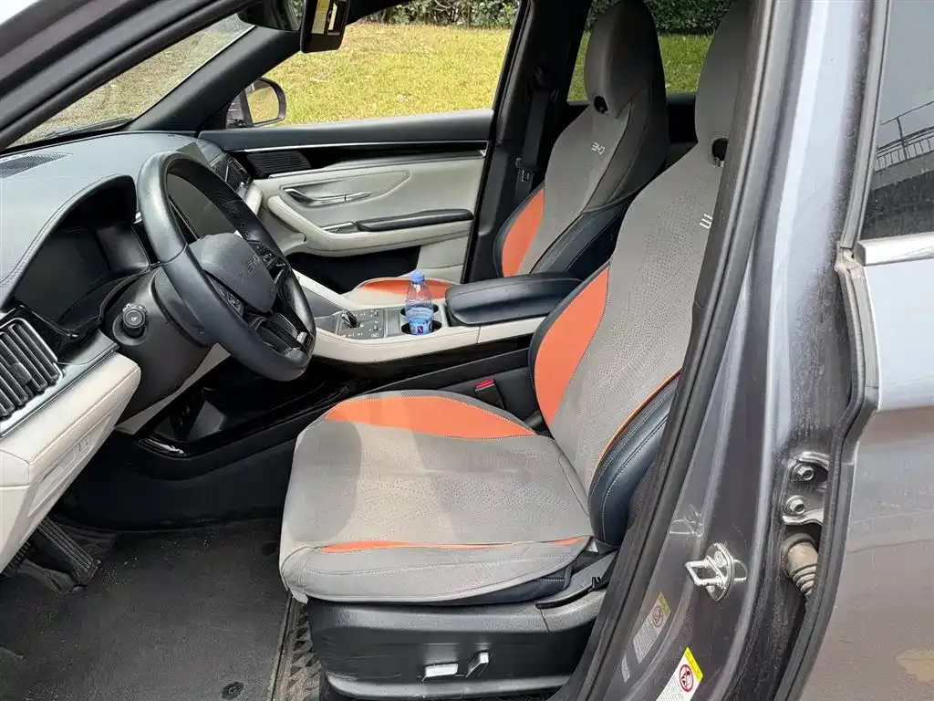 BYD PLUS New Energy 2024 из CN, фото 2