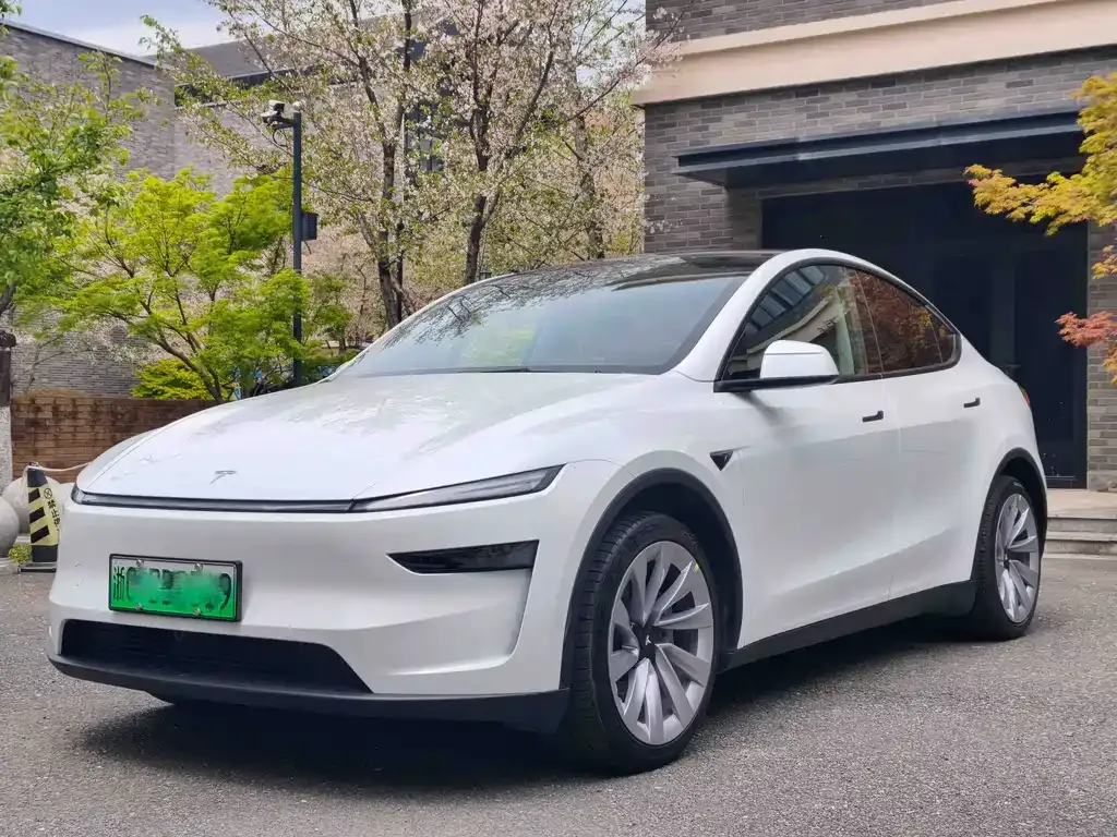 Tesla Model Y — фото 1