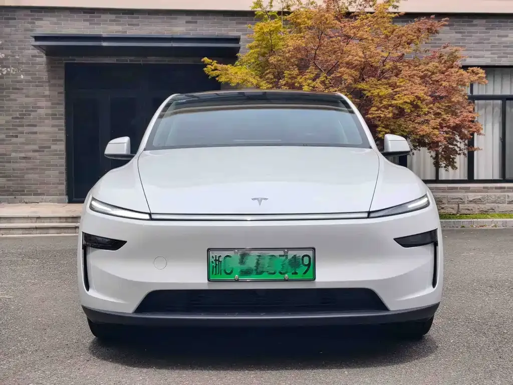 Tesla Model Y — фото 8