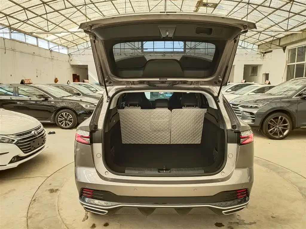 Roewe RX5 New Energy 2025 из CN, фото 6