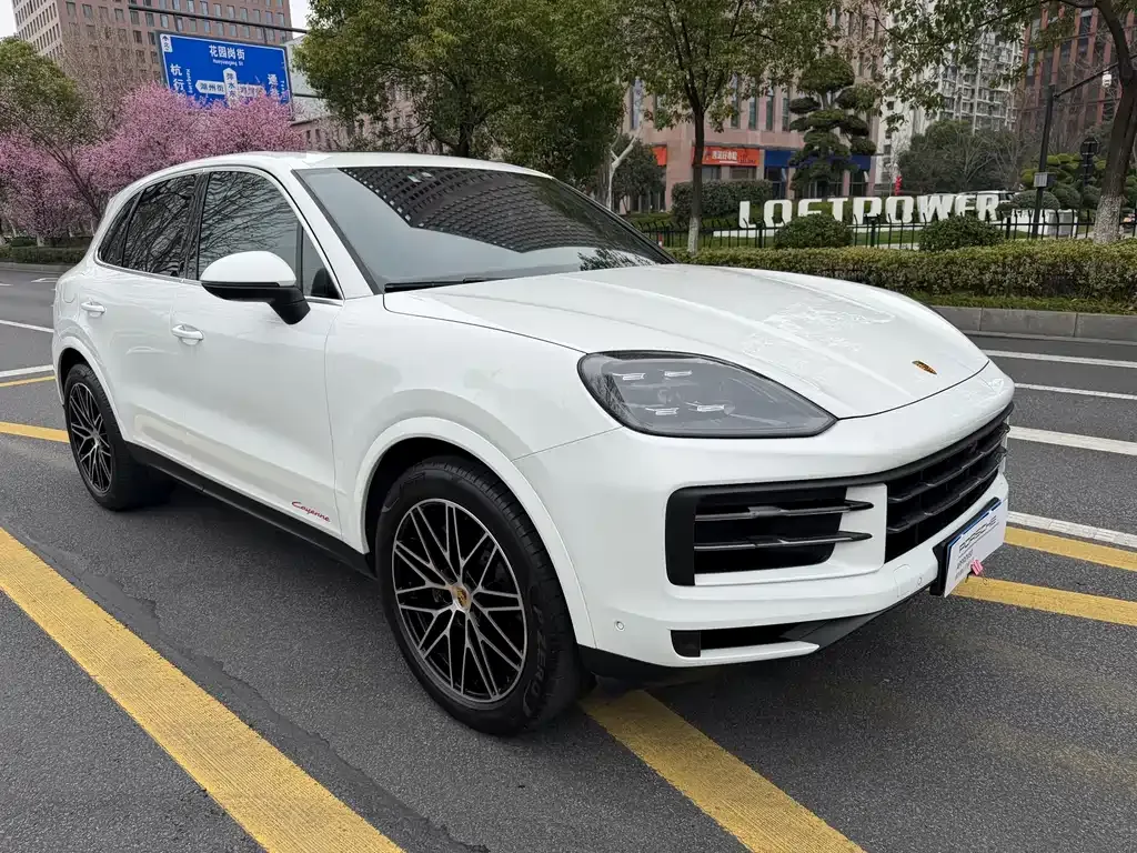 Porsche Cayenne — фото 9