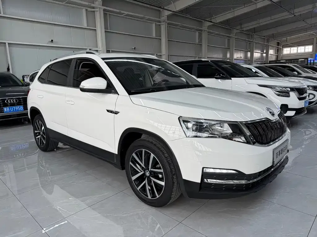 Skoda Kamiq — фото 6