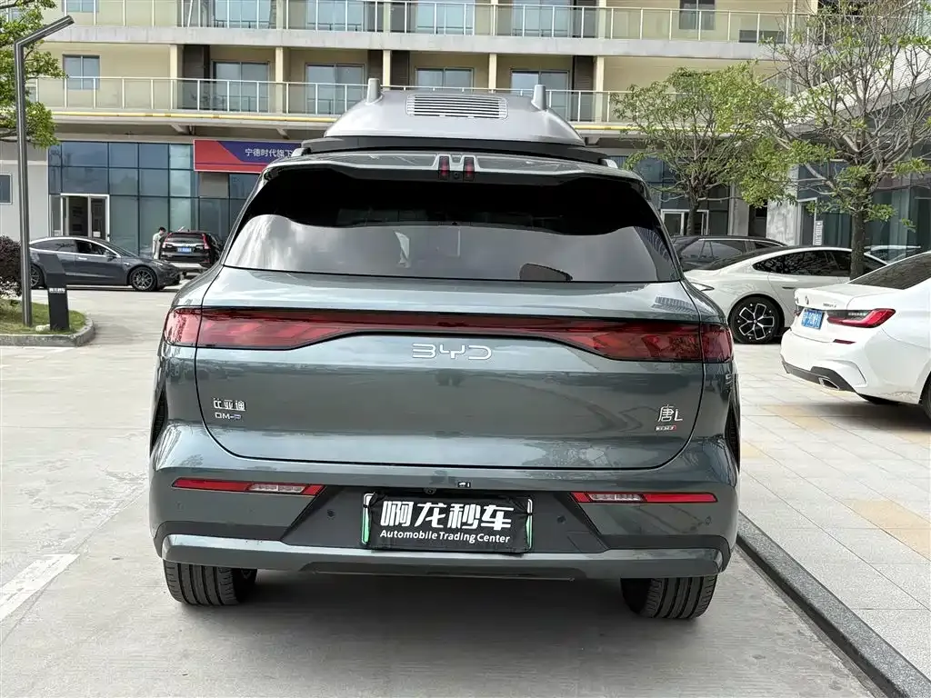 BYD Tang L 2025 из CN, фото 6