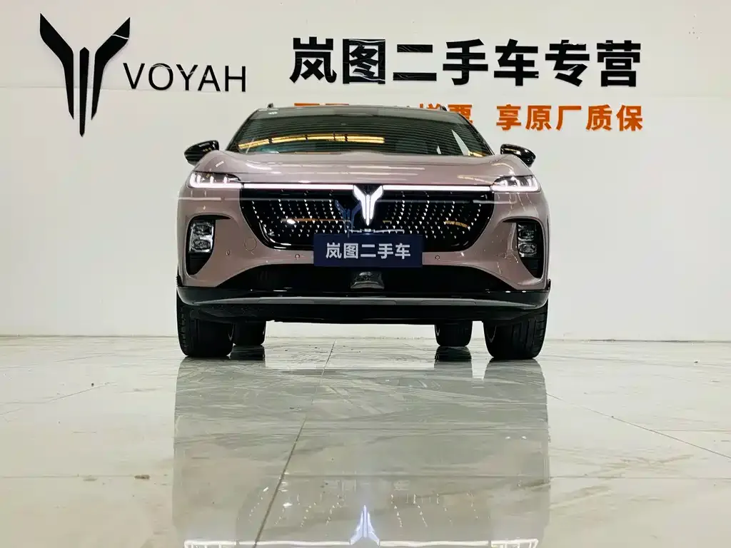 VOYAH Zhiyin 2024 из CN, фото 6