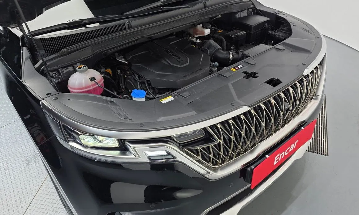 Kia Carnival — фото 10