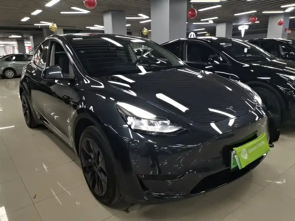 Tesla Model Y — фото 8