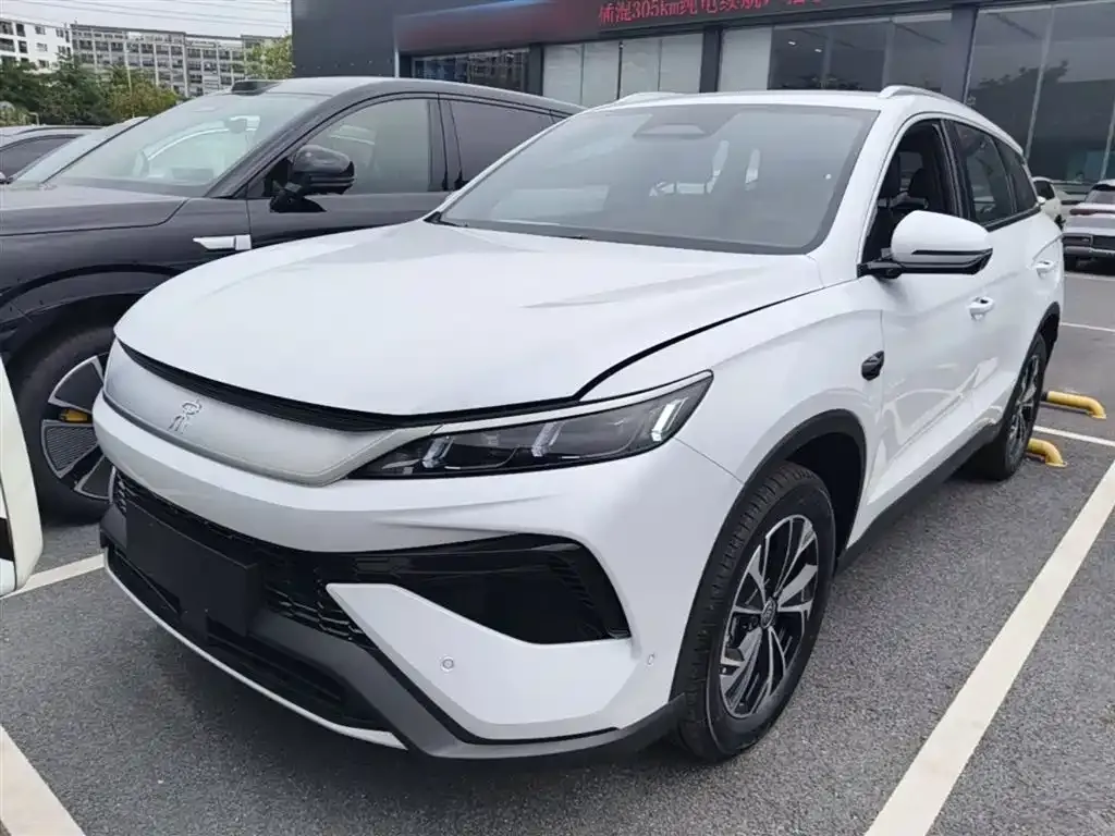 BYD Pro New Energy — фото 1
