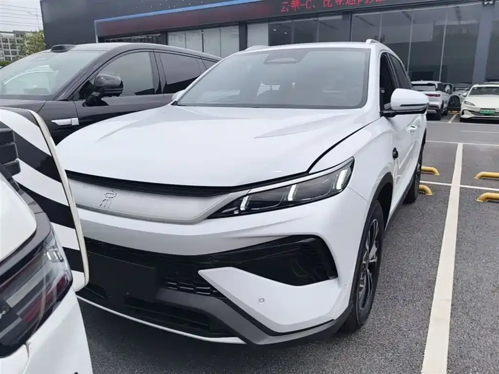 BYD Pro New Energy — фото 6