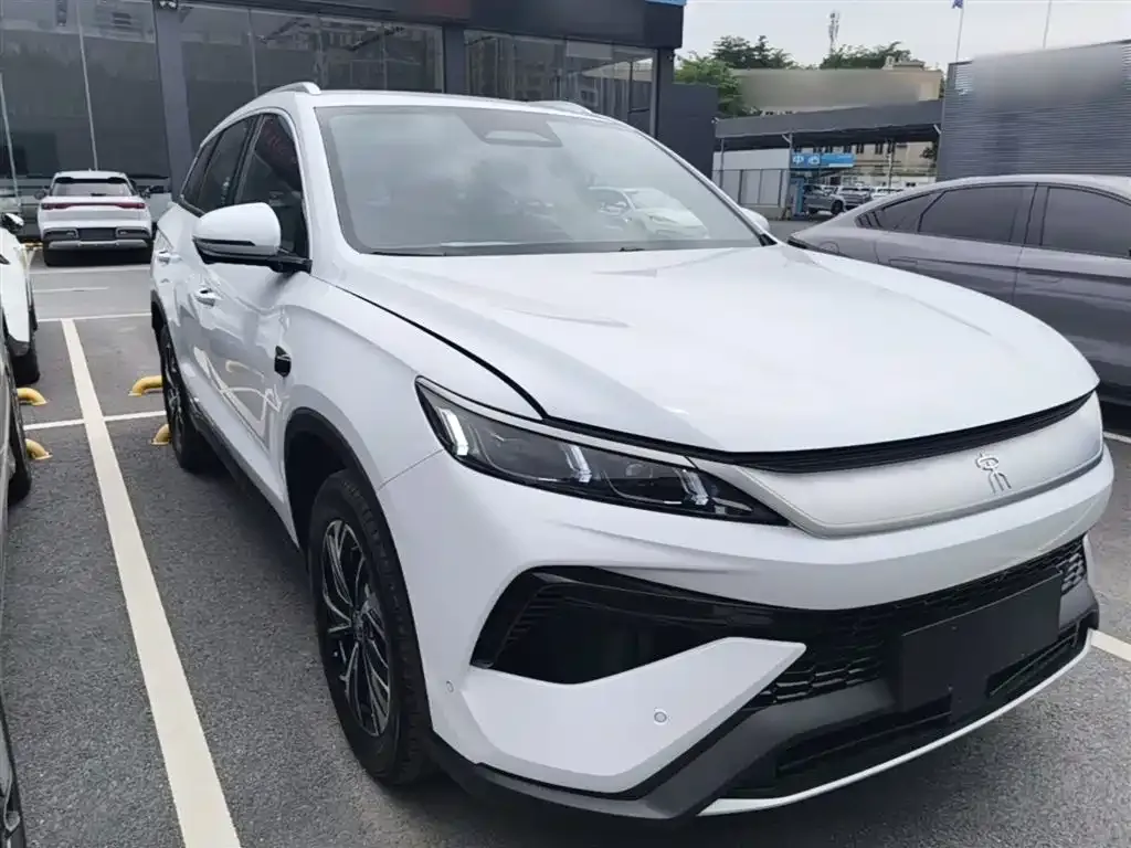BYD Pro New Energy — фото 5