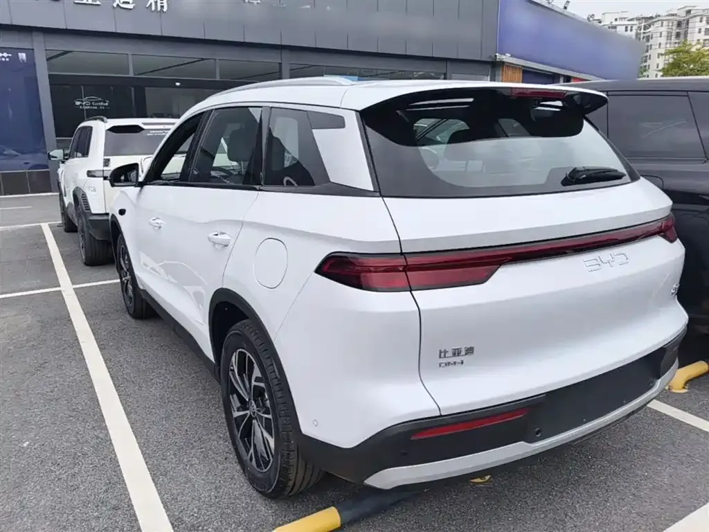 BYD Pro New Energy — фото 9