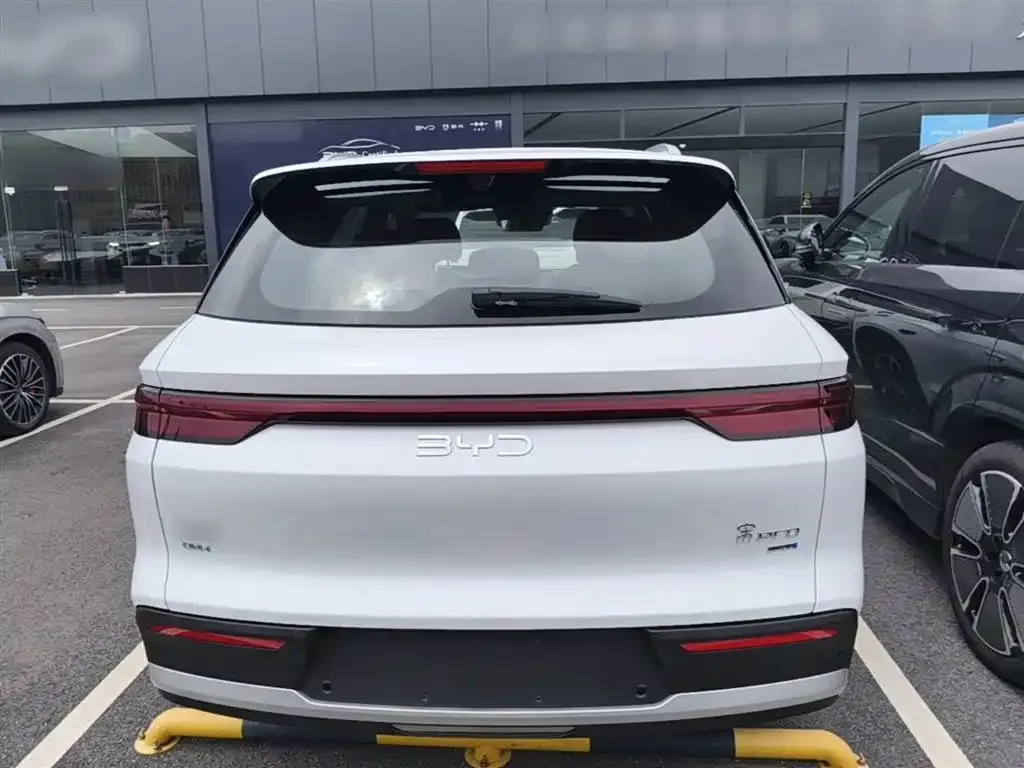 BYD Pro New Energy — фото 4
