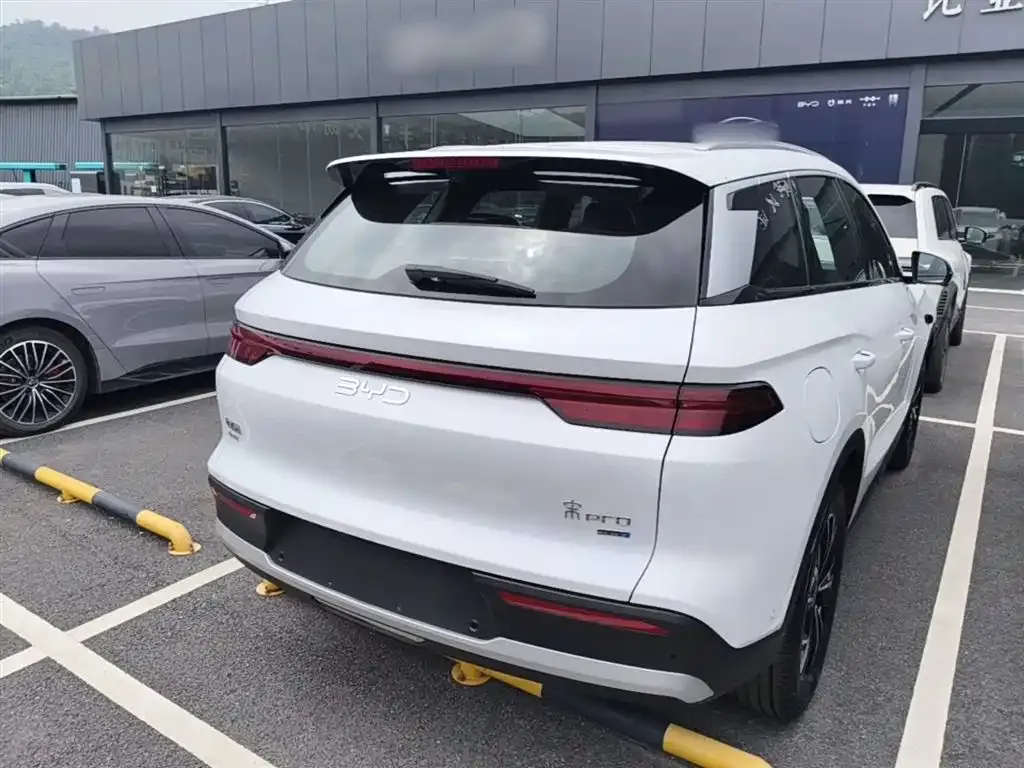 BYD Pro New Energy — фото 10