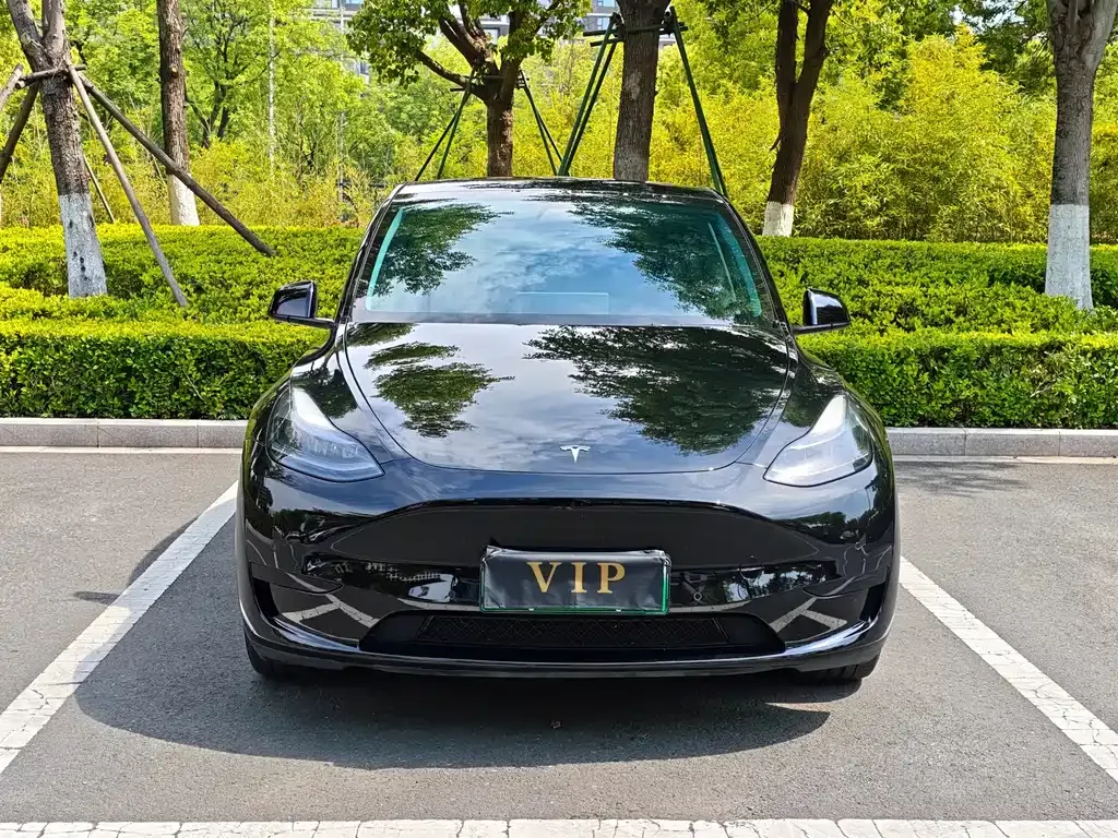 Tesla Model Y 2023 из CN, фото 1