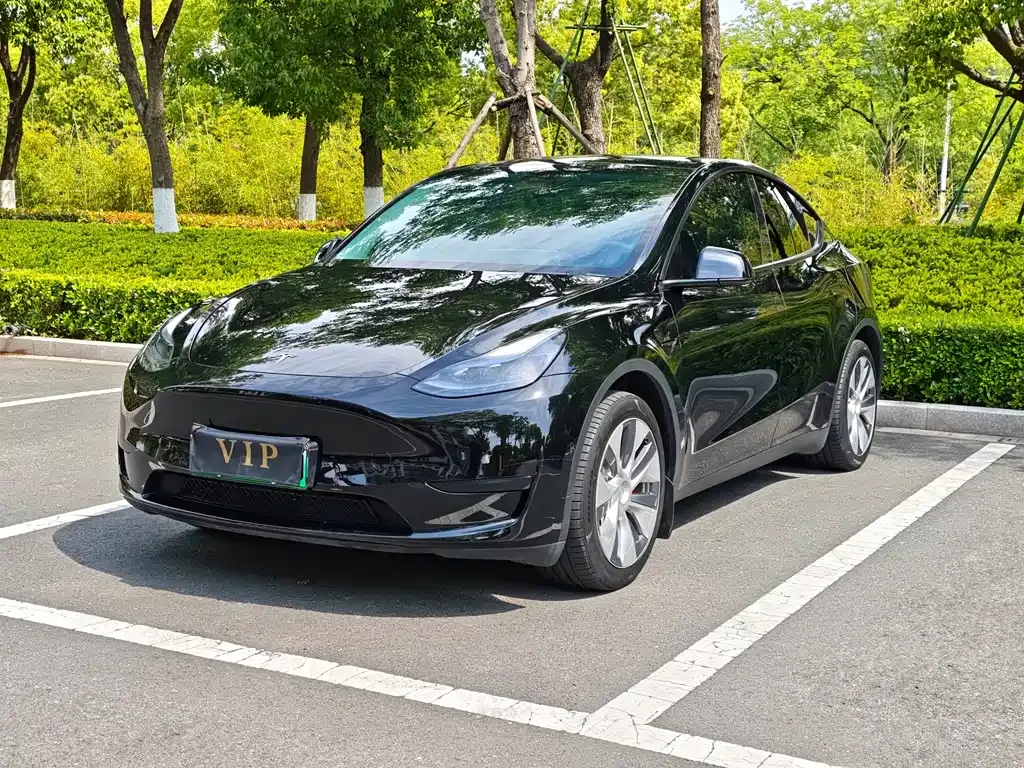 Tesla Model Y 2023 из CN, фото 3