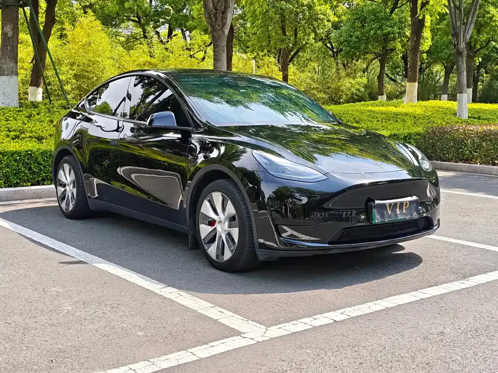 Tesla Model Y 2023 из CN, фото 4