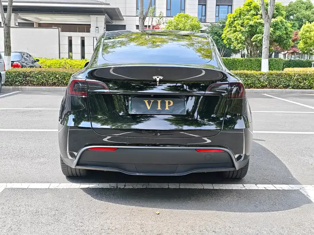 Tesla Model Y 2023 из CN, фото 9