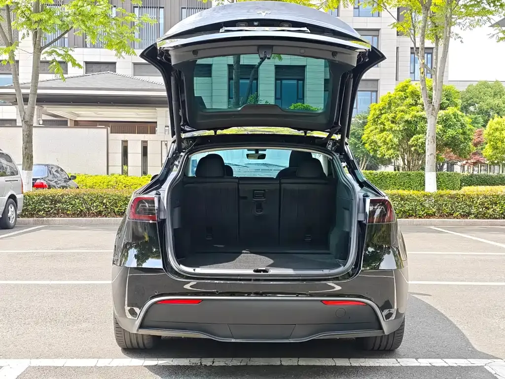 Tesla Model Y 2023 из CN, фото 2