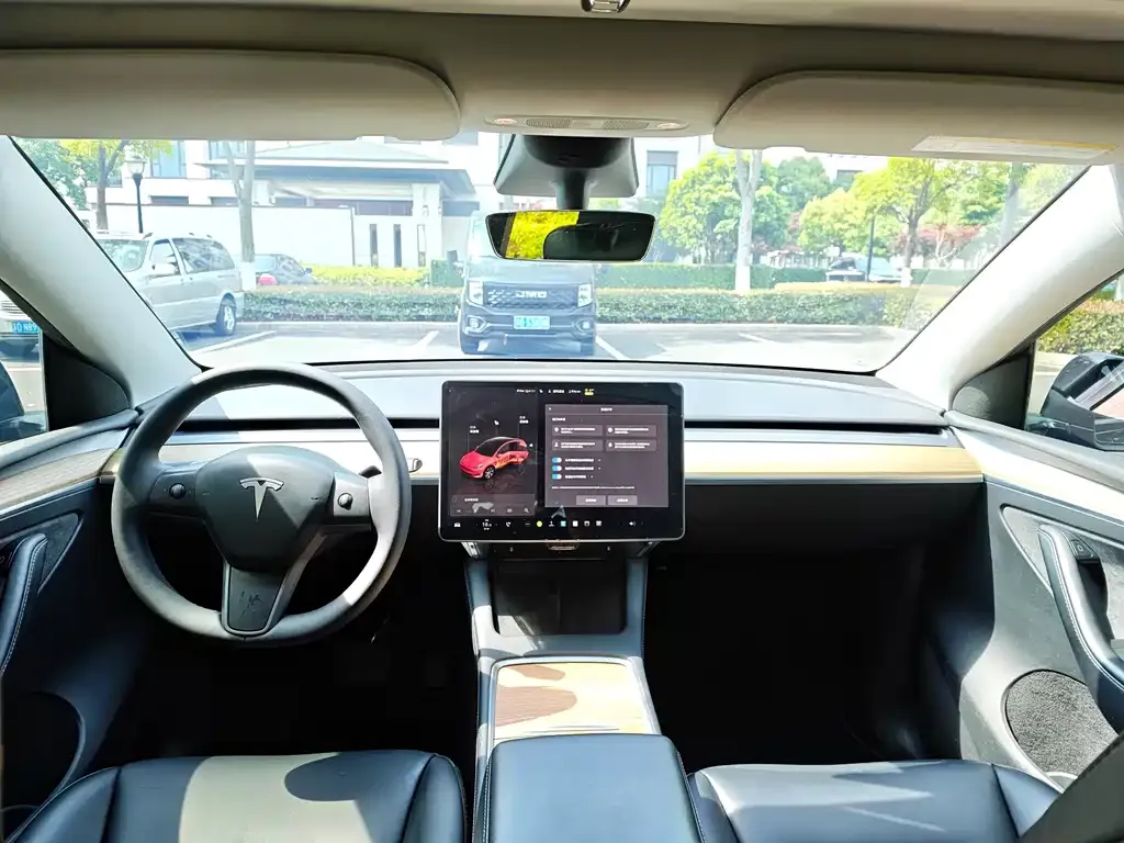 Tesla Model Y 2023 из CN, фото 6
