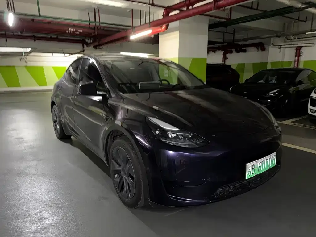 Tesla Model Y — фото 3