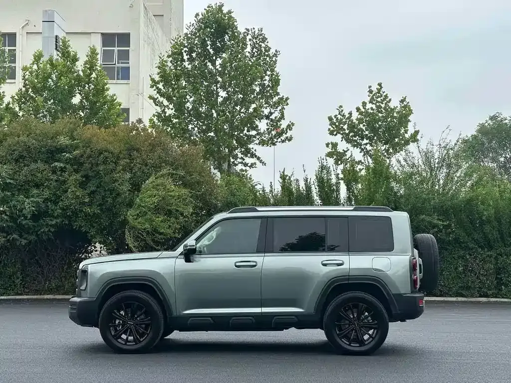 Haval Menglong New Energy 2024 из CN, фото 2